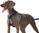 No Pull Dog Harness - High Resistance Nylon Webbing, dom Harness For Dogs With Neck Buckle, 5 Adjustment Points Fits All Body Types, Easy Walking And Training (Starry Night, S)