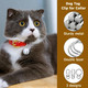 18Pcs Dog Tag Clip Steel Ring Pet Tag, Dog Tags Ring Replaceable Dog Name Tag Clip, Dog Id Tags Dog Tag Clip For Collar Personalized Dog Tag Holder Key Rings For Dogs Cat Collar And Harnesses