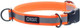 Go Dog Glo Dry Dog Collar, Orange