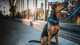 Everyday Dog Collar, Red