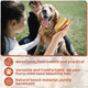Suclain 2 Pcs Dog Cat Bristle Brush For Shedding Dog Brush For Short Haired Dogs Soft Dog Brush Oval Palm Beech Brush With Boar Bristles And Elastic Band For Dogs And Cats Shower Bath And Massage