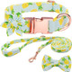 Girl Dog Collar And Leash Sets With Bow Tie, Dog Collar With Detachable Flower With Dog Tag Strong Gold Buckle For Small Medium Large Dogs