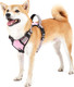 Dog Harness,No Pull Harness,Reflective No-Choke Pet Oxford Vest,Adjustable Soft Padded Pet Vest With Handle For Small To Large Dogs(Pink,M)