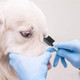 2Pcs Pet Eye Comb Dog Tear Stain Remover Comb Double Sided Grooming Brush Remove Scab Mucus Small Dog Cat Cleaning Supplies, Pet Puppy Cat Grooming Brush Removes Crust And Mucus