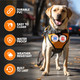 10 Pieces (Pvc) Service Dog Patches With Hook And Loop, For Emotional Support Dog Vest, Service Dog Vest, And Service Dog Harness 10 Pieces (Pvc) Service Dog Patches With Hook And Loop, For Emotional Support Dog Vest, Service Dog Vest, And Service Dog Harness