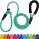 Tagme Slip Leads For Dogs, 6 Ft Heavy Duty Dog Leash With Padded Handle, Strong Rope No Pull Pet Training Leash For Small Dogs,Turquoise