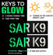 2Pc Luminous Patches Sar K9 Dog Vest Patches Removable Patches With Hook Backing For Animal Vest Harnesses, Collars, Leashes (Black And White) (Color-Luminous)