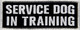 Service Dog In Training Patch Embroidered Vest / Harnesses Badge Fastener Hook & Loop Emblem, 6 X 2 Inches Service Dog In Training Patch Embroidered Vest / Harnesses Badge Fastener Hook & Loop Emblem, 6 X 2 Inches