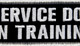 Service Dog In Training Patch Embroidered Vest / Harnesses Badge Fastener Hook & Loop Emblem, 6 X 2 Inches Service Dog In Training Patch Embroidered Vest / Harnesses Badge Fastener Hook & Loop Emblem, 6 X 2 Inches