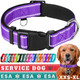 Teceum Reflective Pet Collar – Purple – M – Extra Soft Padding – Basic Nylon Dog Collar – Quick Release Buckle – Fits Small, Medium And Large Dogs, Puppies, Cats – Esa & Service Dog Options