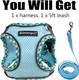 Teemerryca All Weather Dog Harness And Leash Set Easy To Put On/Off, No Pull Adjustable Reflective Step-In Pet Harness Vest For Puppies And Extra Small Dogs And Cats, Blue, Xs