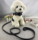 2Pcs Bow Ties Bling Cute Dog Harness With Lead For Dog - Pink - S