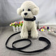Bowtie Dog Collar & Harness & Lead Sets Comfortable Soft Puppy Collar Diamante With Harness And Leashes Set For Dog - Pink - Xs Bowtie Dog Collar & Harness & Lead Sets Comfortable Soft Puppy Collar Diamante With Harness And Leashes Set For Dog - Pink - Xs