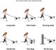 Multifunctional Rope Dog Leash 7.5 Ft With Adjustable Double Swivel Hook Hands For Small Medium And Large Dogs Running Hiking Camping Walking (Colorful Macaron)