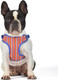 The Dodo Dog Harness, Striped, Size Medium Easy Step-In Harness For Dogs Breathable Mesh Fabric Snap-Together, Pinch Release Buckle, Ring For Leash Attachment Everyday Pet Apparel
