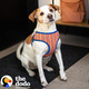 The Dodo Dog Harness, Striped, Size Medium Easy Step-In Harness For Dogs Breathable Mesh Fabric Snap-Together, Pinch Release Buckle, Ring For Leash Attachment Everyday Pet Apparel