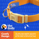 The Dodo All Nylon Yellow Collar And Leash Set - Medium Matching Cute Leash And Collar Set Waterproof Dog Leash And Collar Set, Perfect For Beach Day Or Trips To The Lake