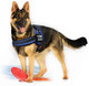 Thin Blue Line Usa Dog Harness (Large)