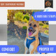 Tito'S Closet Dog Harness Walking Set - Includes Comfort Fit Harness, Durable Leash And Covenient Poop Bag Carrier (Blue, Small)