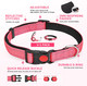 Reflective Dog Collar And Leash Set,Adjustable Neoprene Padded Nylon Collars, 6 Ft Heavy Duty Dog Leash 2 Comfortable Handles Safety Locking Buckle For Puppy Small Medium Extra Large Breed Dog Reflective Dog Collar And Leash Set,Adjustable Neoprene Padded Nylon Collars, 6 Ft Heavy Duty Dog Leash 2 Comfortable Handles Safety Locking Buckle For Puppy Small Medium Extra Large Breed Dog