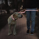 Reflective Dog Collar And Leash Set,Adjustable Neoprene Padded Nylon Collars, 6 Ft Heavy Duty Dog Leash 2 Comfortable Handles Safety Locking Buckle For Puppy Small Medium Extra Large Breed Dog Reflective Dog Collar And Leash Set,Adjustable Neoprene Padded Nylon Collars, 6 Ft Heavy Duty Dog Leash 2 Comfortable Handles Safety Locking Buckle For Puppy Small Medium Extra Large Breed Dog