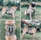 Tuff Pupper Updated For - Tracker No Escape Dog Harness Dual Escape Proof Leash Attachments 5 Point Adjustable Fit Harness For Dogs Padded Dog Harness For Comfort Handle Dog Lift Harness