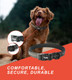 Tug Strong Nylon Dog Collar (Medium, Black)