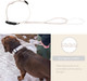 Tug Reflective And Soft Padded Dog Collar (Medium)