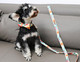 Unique Style Paws Cotton Dog Collar With Bow Floral Plaid Colorful Dog Collar With Bow Tie For Small Medium Large Dogs Pets S Unique Style Paws Cotton Dog Collar With Bow Floral Plaid Colorful Dog Collar With Bow Tie For Small Medium Large Dogs Pets S