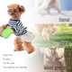 Dog Paw Cleaner，Dogs Washer，Suitable For Large, Medium, And Small Dogs,Silicone Material Is Easy To Carry，Clean The Mud On Pet Legs，Clean The Mud On Pet Legs，Green，1Pc.