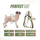 G'Day Self Cleaning Slicker Brush, Dog Brush & Cat Brush With Massage Particles, Removes Loose Hair & Tangles, Skin Friendly.