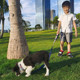 American Flag Plaid Dog Collar And Leash Set With Quick Release Buckle Comes In 4 Sizes - Soft, Comfortable, Adjustable Collar & Leash For Small Dogs Or Cats - (Size: Collar Small & Leash Medium) American Flag Plaid Dog Collar And Leash Set With Quick Release Buckle Comes In 4 Sizes - Soft, Comfortable, Adjustable Collar & Leash For Small Dogs Or Cats - (Size: Collar Small & Leash Medium)