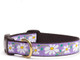 Up Country Daisy Pattern (Daisy Dog Collar, Large (15 To 21 Inches) 1 Inch Wide Width)