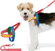 Vetreska Moma Dog Harness And Leash Set, Easy Walk Dog Harness For Small Medium Dogs, No Pull Puppy Harness For Walking And Training, Adjustable, Take Control & Anti-Twist Pet Lead Combo (Red, S) Vetreska Moma Dog Harness And Leash Set, Easy Walk Dog Harness For Small Medium Dogs, No Pull Puppy Harness For Walking And Training, Adjustable, Take Control & Anti-Twist Pet Lead Combo (Red, S)