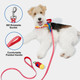 Vetreska Moma Dog Harness And Leash Set, Easy Walk Dog Harness For Small Medium Dogs, No Pull Puppy Harness For Walking And Training, Adjustable, Take Control & Anti-Twist Pet Lead Combo (Red, S) Vetreska Moma Dog Harness And Leash Set, Easy Walk Dog Harness For Small Medium Dogs, No Pull Puppy Harness For Walking And Training, Adjustable, Take Control & Anti-Twist Pet Lead Combo (Red, S)