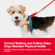 Vetreska Moma Dog Harness And Leash Set, Easy Walk Dog Harness For Small Medium Dogs, No Pull Puppy Harness For Walking And Training, Adjustable, Take Control & Anti-Twist Pet Lead Combo (Red, S) Vetreska Moma Dog Harness And Leash Set, Easy Walk Dog Harness For Small Medium Dogs, No Pull Puppy Harness For Walking And Training, Adjustable, Take Control & Anti-Twist Pet Lead Combo (Red, S)