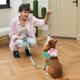 Vetreska Moma Dog Harness And Leash Set, Easy Walk Dog Harness For Small Medium Dogs, No Pull Puppy Harness For Walking And Training, Adjustable, Take Control & Anti-Twist Pet Lead Combo (Red, S) Vetreska Moma Dog Harness And Leash Set, Easy Walk Dog Harness For Small Medium Dogs, No Pull Puppy Harness For Walking And Training, Adjustable, Take Control & Anti-Twist Pet Lead Combo (Red, S)