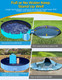 Vistop Jumbo Foldable Dog Pool, Hard Plastic Shell Portable Swimming Pool For Dogs Cats And Kids Pet Puppy Bathing Tub Collapsible Kiddie Pool (97Inch.D X 15.7Inch.H, Blue) Vistop Jumbo Foldable Dog Pool, Hard Plastic Shell Portable Swimming Pool For Dogs Cats And Kids Pet Puppy Bathing Tub Collapsible Kiddie Pool (97Inch.D X 15.7Inch.H, Blue)