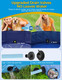 Vistop Jumbo Foldable Dog Pool, Hard Plastic Shell Portable Swimming Pool For Dogs Cats And Kids Pet Puppy Bathing Tub Collapsible Kiddie Pool (97Inch.D X 15.7Inch.H, Blue) Vistop Jumbo Foldable Dog Pool, Hard Plastic Shell Portable Swimming Pool For Dogs Cats And Kids Pet Puppy Bathing Tub Collapsible Kiddie Pool (97Inch.D X 15.7Inch.H, Blue)