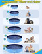 Vistop Jumbo Foldable Dog Pool, Hard Plastic Shell Portable Swimming Pool For Dogs Cats And Kids Pet Puppy Bathing Tub Collapsible Kiddie Pool (97Inch.D X 15.7Inch.H, Blue) Vistop Jumbo Foldable Dog Pool, Hard Plastic Shell Portable Swimming Pool For Dogs Cats And Kids Pet Puppy Bathing Tub Collapsible Kiddie Pool (97Inch.D X 15.7Inch.H, Blue)