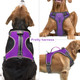 Light Up Dog Harness No Pull Led Dog Harness With Handle Vizbrite Rechargeable Lighted Dog Vest Harness For Small/Medium/Large/X-Large Size Dogs No Pull, 4 Point Adjustable Dog Harness Light Up Dog Harness No Pull Led Dog Harness With Handle Vizbrite Rechargeable Lighted Dog Vest Harness For Small/Medium/Large/X-Large Size Dogs No Pull, 4 Point Adjustable Dog Harness