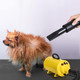 Dog Hair Dryer, 3.8Hp 2800W Pet Grooming Blower For Large Dogs Hair Force Blaster With Heat, Stepless Speed Adjustable Strong Power Wind, Yellow