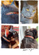 Pet Supplies, (Machu Picchu) Cat Collar, Dog Collar, Cat Leash, Dog Leash, Cat Harness, Dog Harness, Small Dog Collar, Medium Dog Collar, Large Dog Collar (Pet Collar, L)