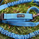 Wagtime Club Hands Bungee Dog Leash - Smart 3-In-1 Design For Running, Hiking, Or Walking With Durable Dual Handles, Smartphone Pouch, Reflective Stitching, 4Ft Length For Medium To Xlarge Dogs -