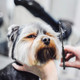 Wahl Professional Animal Arco Pet Clipper Replacement Nimh Battery (0114-300) Wahl Professional Animal Arco Pet Clipper Replacement Nimh Battery (0114-300)