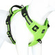 No Pull Dog Harness, [Release On Neck] Reflective Adjustable No Choke Pet Vest With Front & Back 2 Leash Attachments, Soft Control Training Handle For Small Medium Large Dogs