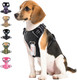 Dog Harness, No Pull Dog Harness With Id Card Reflective Adjustable, Fit Smart Dog Harness For Medium Dogs, Dog Vest Harness With Easy Control Handle
