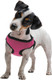 Soft'N'Safe Adjustable Dog Harness (Pink, Xs)