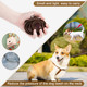 Real Leather Slip Lead Dog Leash, Adjustable Stitched Pet Slip Leads With Slider, Heavy Duty Flat Dog Training Leashes For Medium And Large Dogs, 5Ft Long By 0.7 Wide, Brown