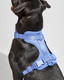 Wild One Harness 2.0 - Extra Small - Moonstone